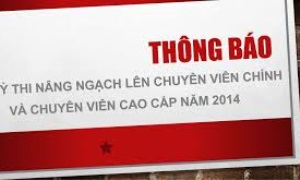 Chỉ tiêu và quy định về hồ sơ thi nâng ngạch các cơ quan đảng, mặt trận Tổ quốc, đoàn thể năm 2014